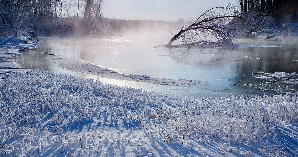 Как включить полный привод на прадо 150 ~ sis26.ru