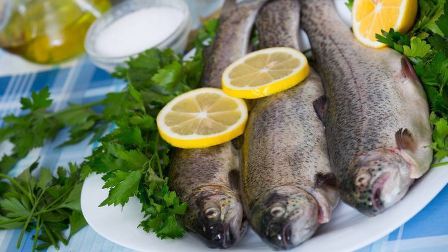 Диетические блюда из рыбы рецепты фото