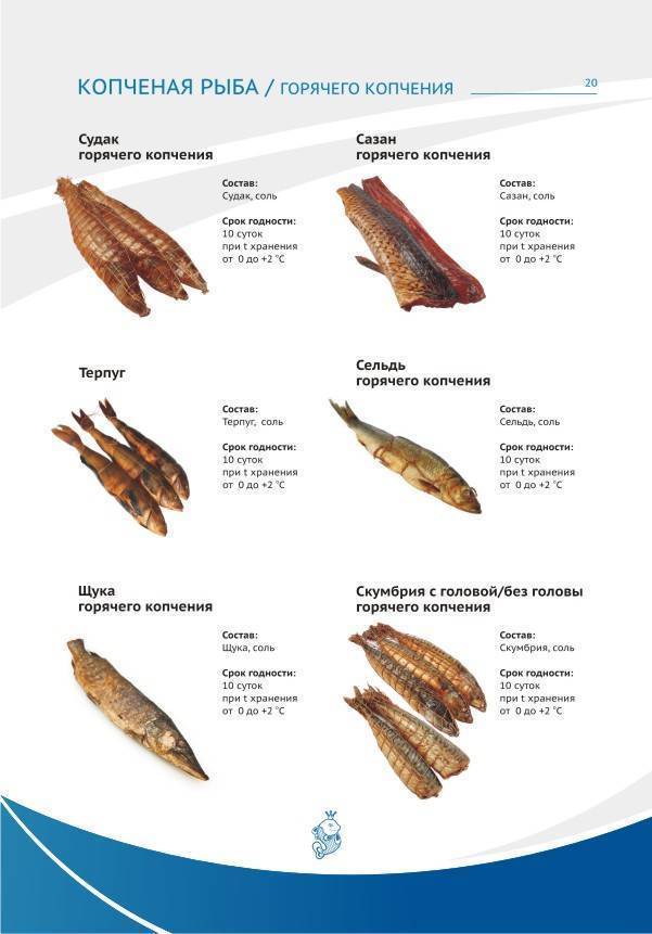 Горячее копчение сколько коптить. Срок годности копченой рыбы горячего копчения. Срок хранения рыбы холодного копчения. Температура копчения рыбы холодного копчения. Срок хранения копченой рыбы холодного копчения.