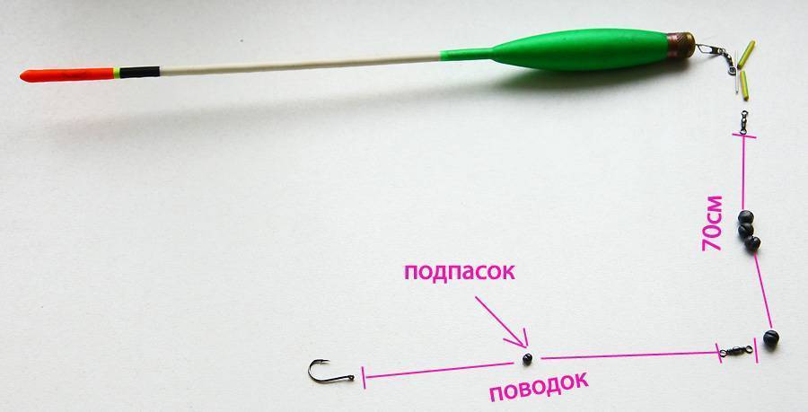 какая рыба клюет на пасту кроме форели. Смотреть фото какая рыба клюет на пасту кроме форели. Смотреть картинку какая рыба клюет на пасту кроме форели. Картинка про какая рыба клюет на пасту кроме форели. Фото какая рыба клюет на пасту кроме форели