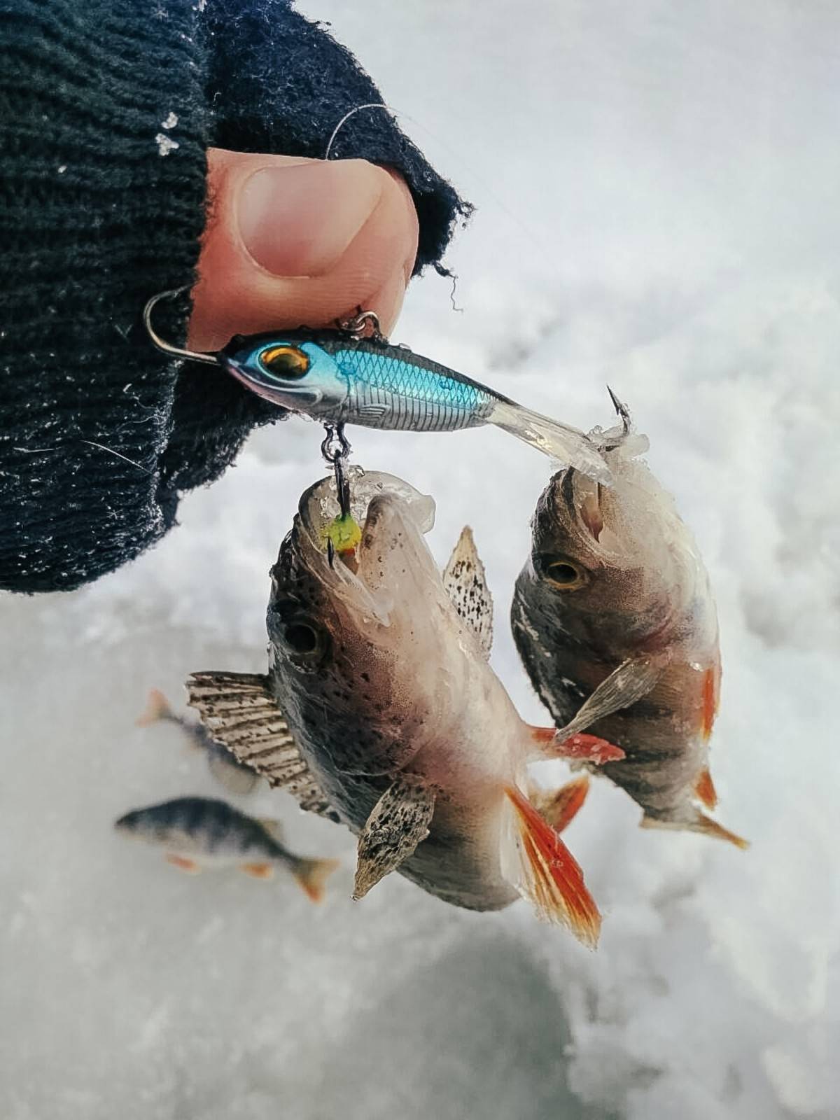 Техника зимней рыбалки на безмотылку