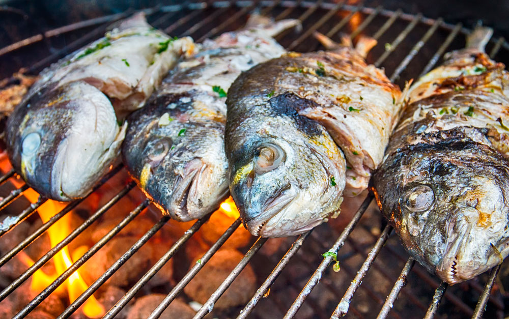 Рыба на решетке на мангале. лучшие рецепты для гурманов из разных видов рыб.