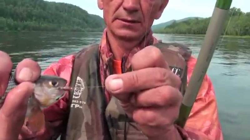 Рыбалка в красноярске и красноярском крае: лучшие места для ловли, какая рыба водится