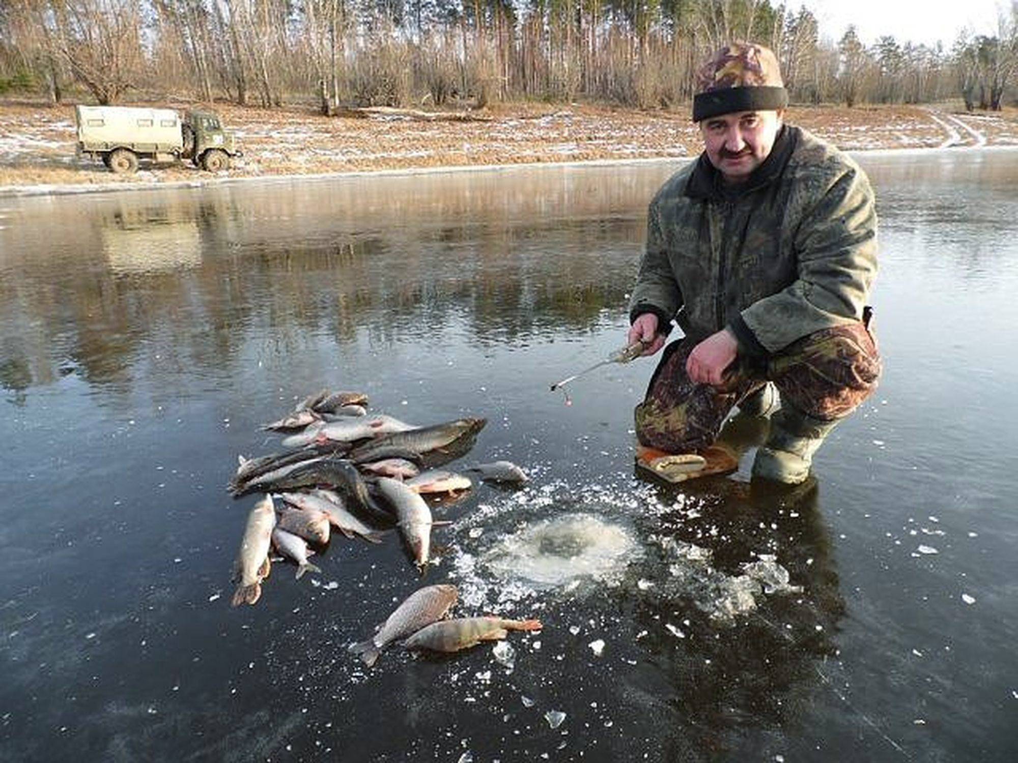 Окончательный гид по местам для платной рыбалки в окрестностях екатеринбурга — на природе — выбирай.ру — екатеринбург