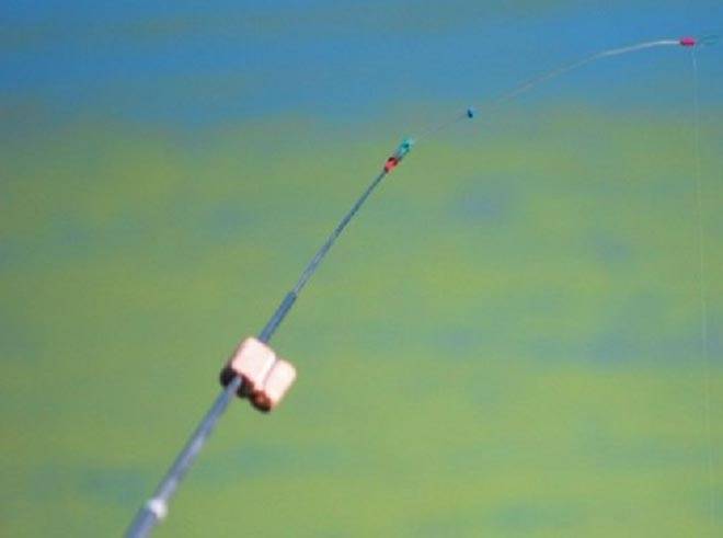 Ловля карася на удочку с боковым кивком: правила успешной рыбалки