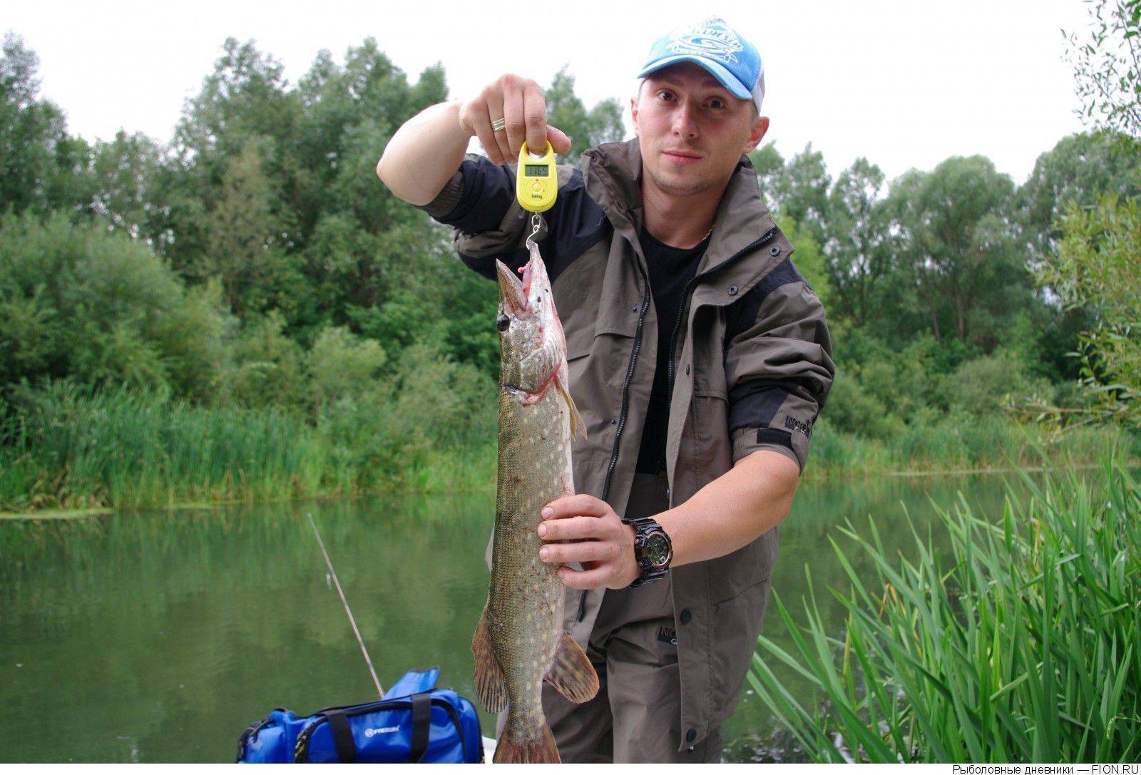 Рыбалка в рязанской области | карта рыболовных мест