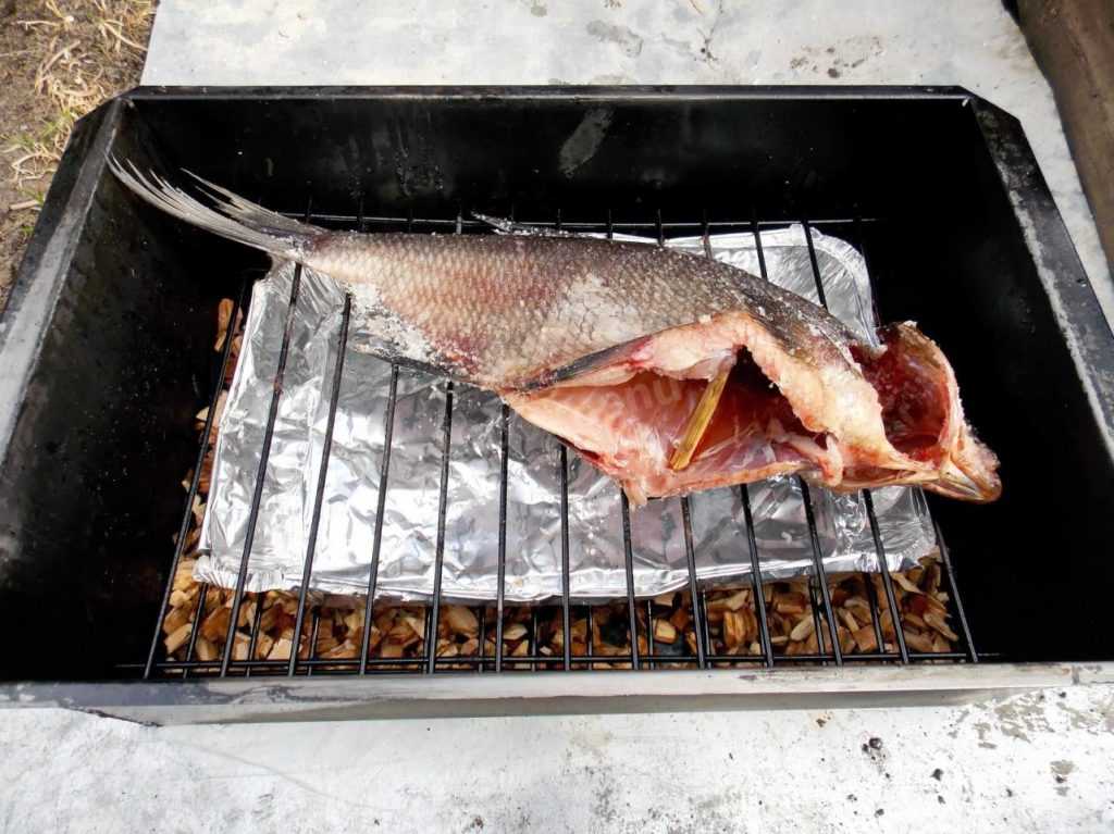 Лещ горячего копчения: как правильно приготовить рыбу в коптильне горячего копчения на мангале
