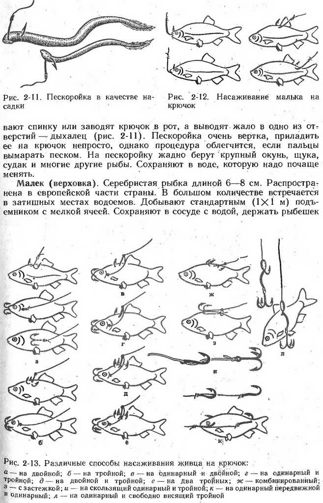 Как насадить щуку