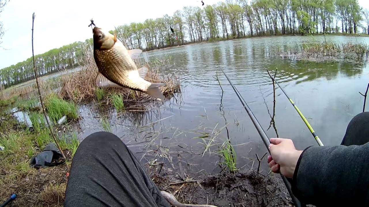 Ловля карася на озере