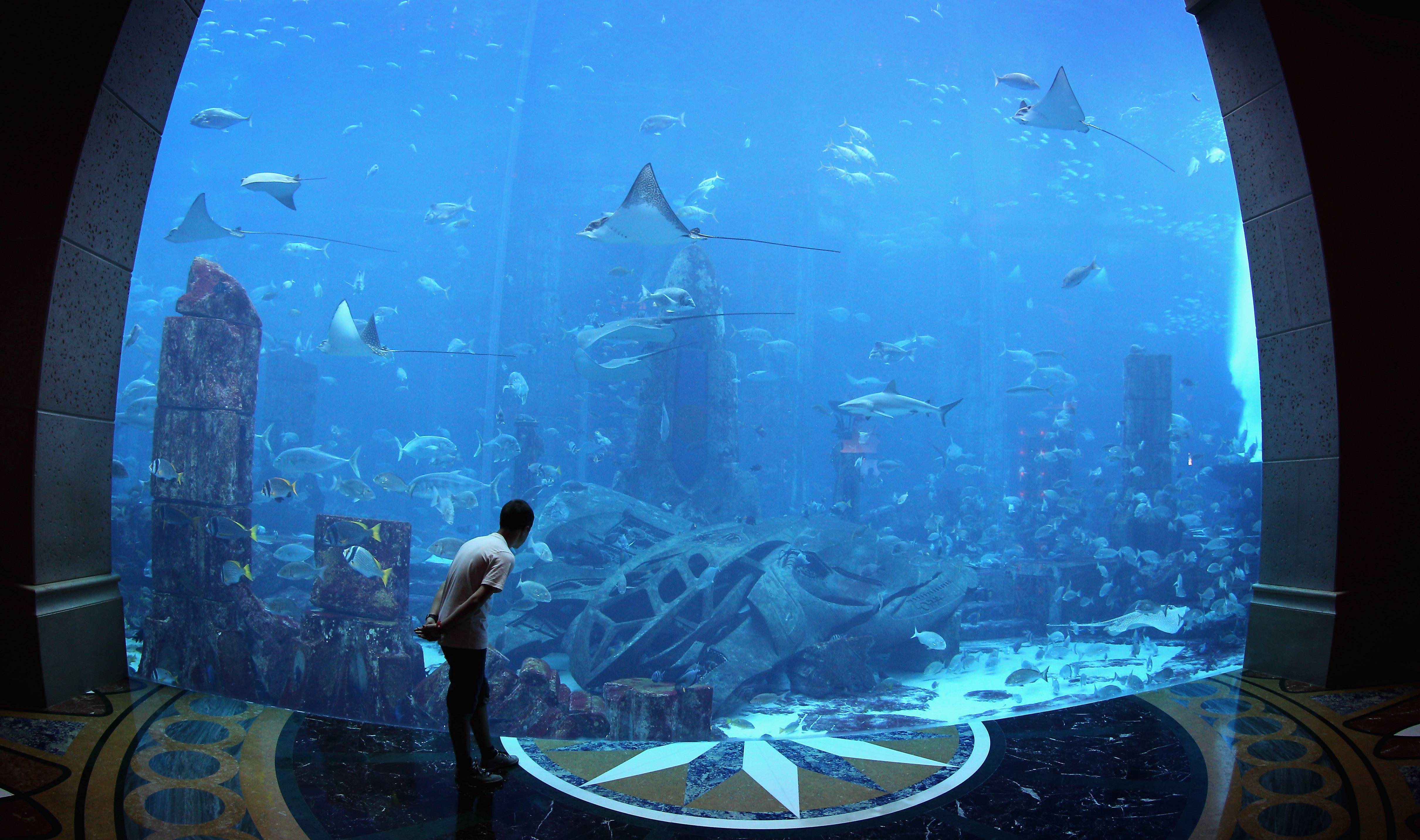 10 самых больших океанариумов в мире