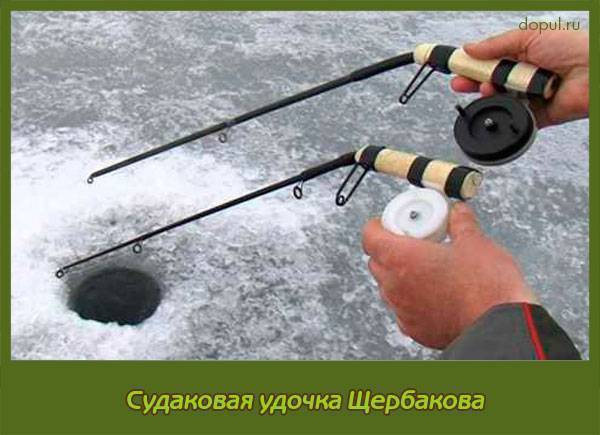 Ловля окуня зимой на балансир: как рыбачить, проводки и снасти
