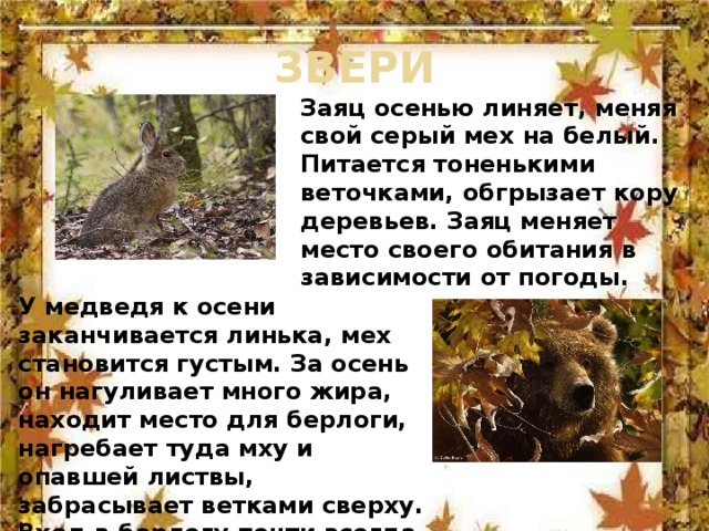 Где, как и на что ловить щуку летом?