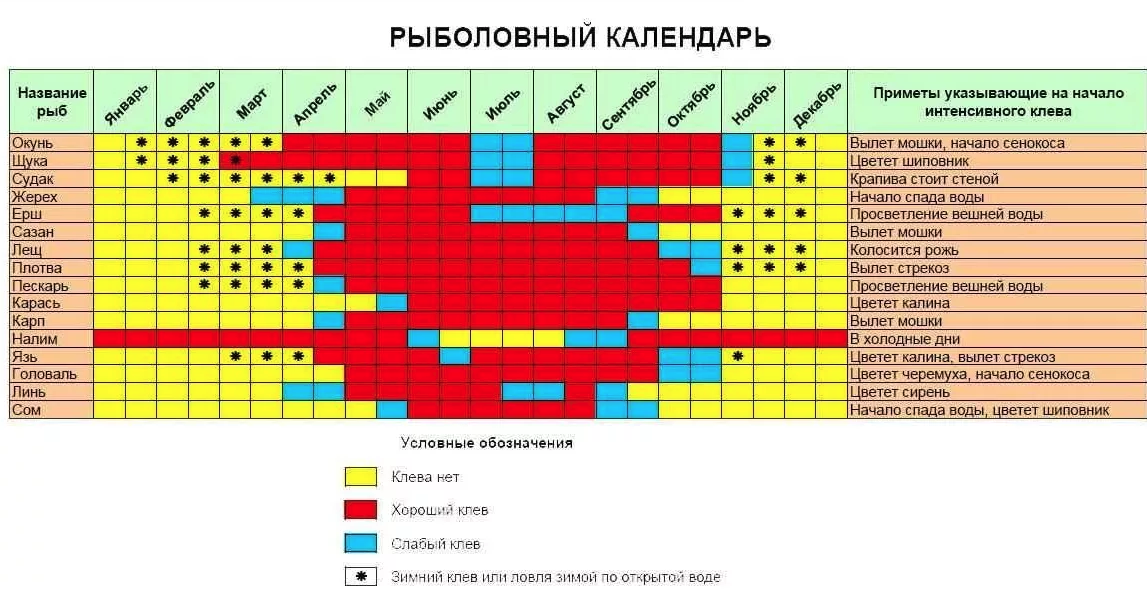 Календарь клева на сегодня. Таблица активности клёва рыбы. Таблица клева карася. Таблица клева рыбы по месяцам. Таблица ловли рыбы по месяцам.