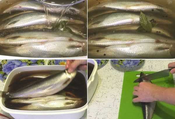 Способы вымачивания пересоленной селедки. как сделать рыбу менее соленой