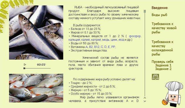 Блюда из рыбы: судак – самые вкусные рецепты