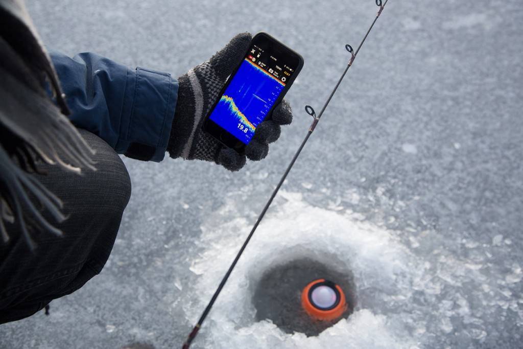 Эхолот для зимней рыбалки — лучшие модели 2019 года, особенности выбора и применения (110 фото)