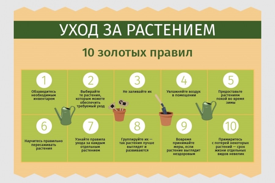 Экипировка начинающего охотника