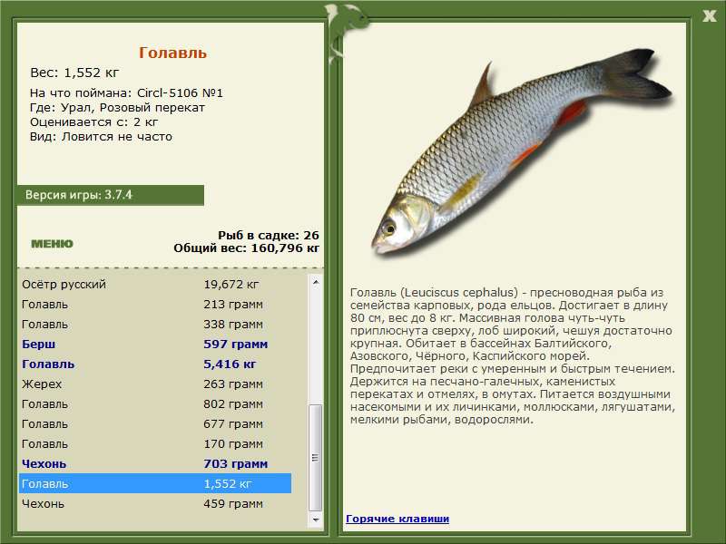 Правила рыболовства в россии