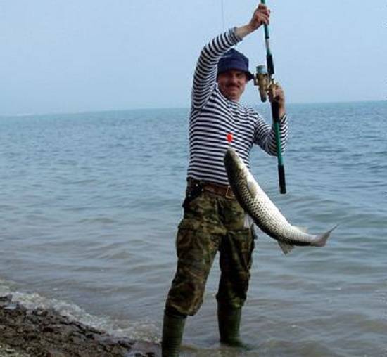 Вернется ли рыба в азовское море