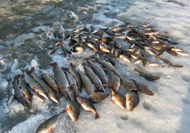 Рыбалка в глухозимье. особенности ловли и поиска рыбы