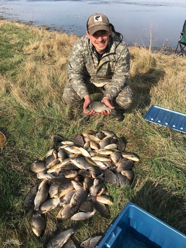 Платная рыбалка в новосибирской области: рыболовные туры, охотничьи базы и платные водоемы в новосибирске