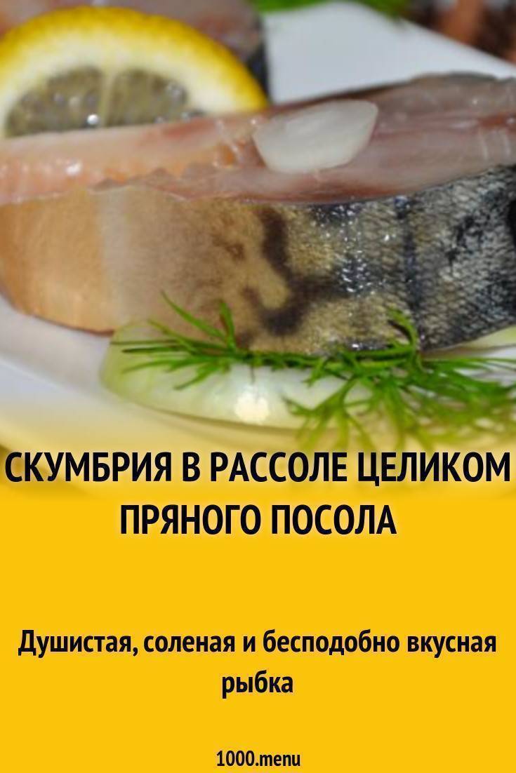 Как приготовить скумбрия пряного посола в домашних условиях