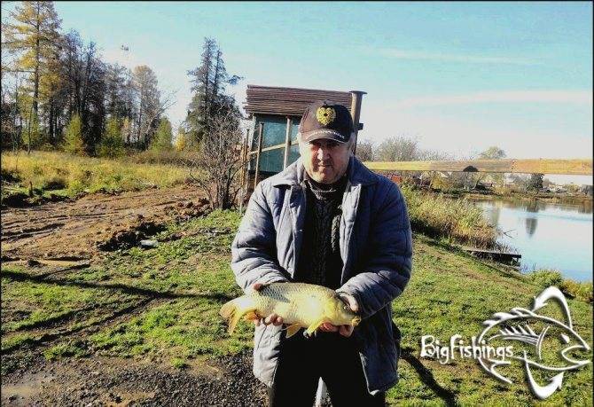 Три пескаря рыбалка в подмосковье ? fisherway.ru