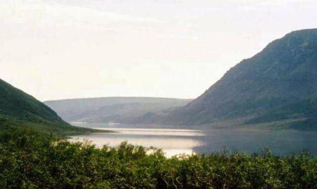 Щучье озеро: рыбалка и какая рыба водится