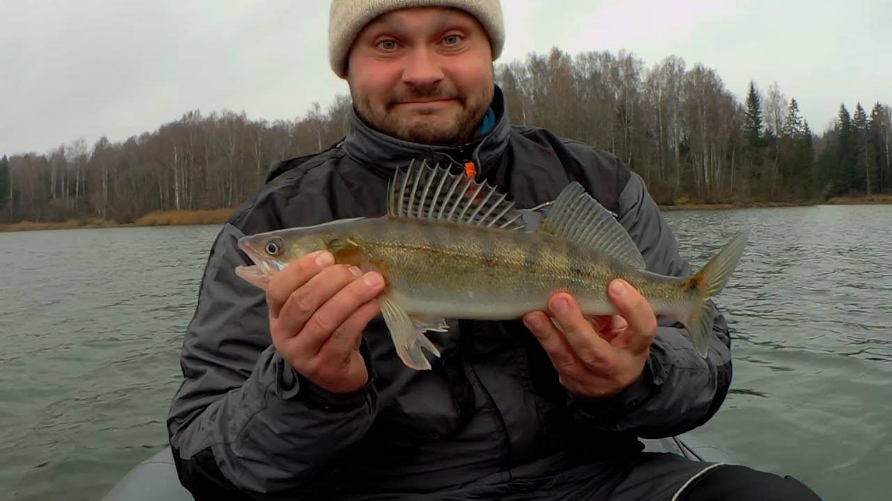 Рыбалка на яузском водохранилище: описание местных видов рыб, обзор баз пудыши и других мест отдыха | berlogakarelia.ru