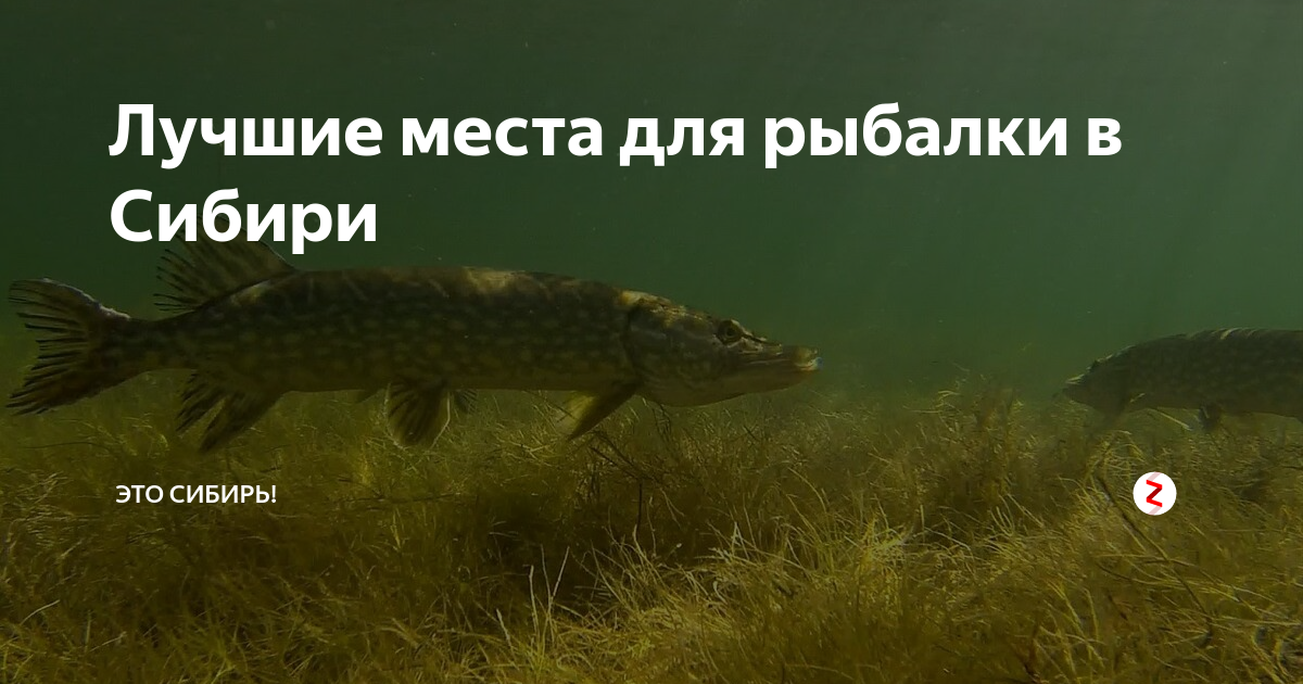 Рыбалка на реке томь кемеровской области