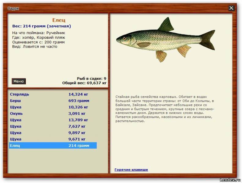 Рыбалка на дону: список баз и какая рыба ловится сегодня