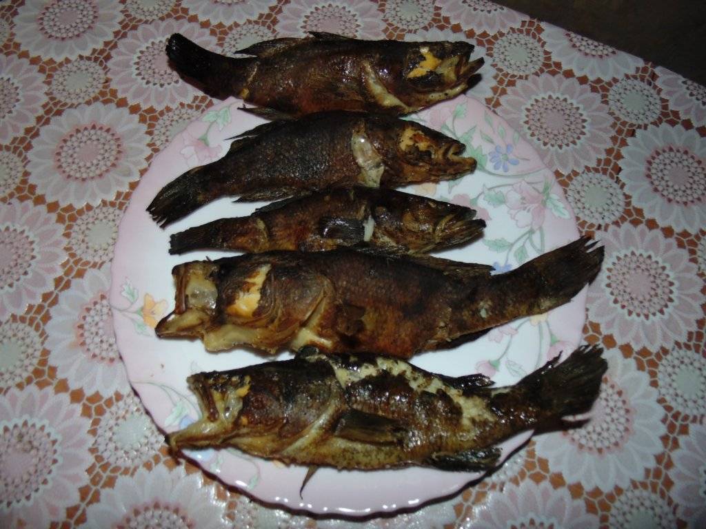 Ротан рыба, как приготовить: как чистить ротана, как приготовить рыбу ротан вкусно