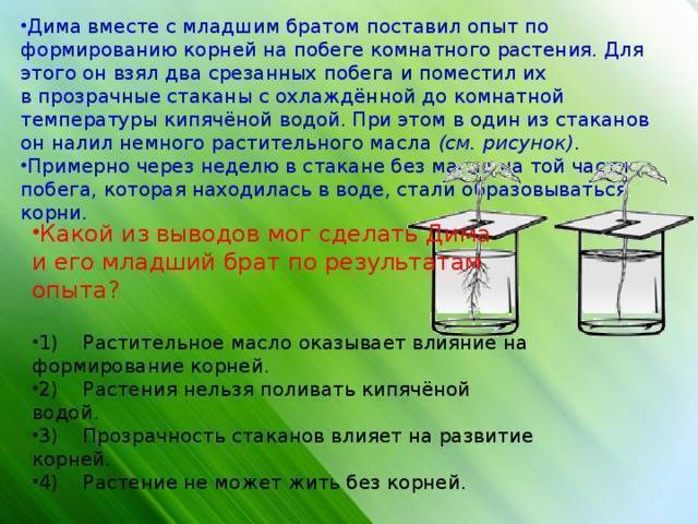 Как правильно отстаивать воду для аквариума, сколько времени должна длиться процедура?