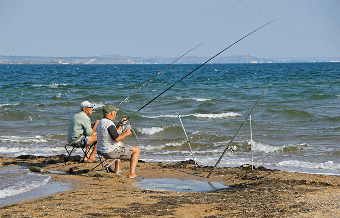 Рыбалка на азовском море-какая рыба ловится на азовском море