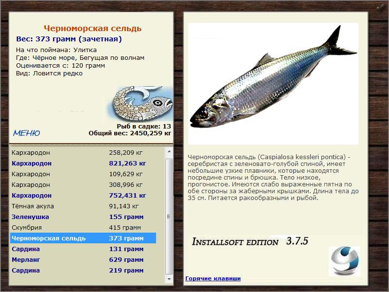 Донская селёдка жареная (don cossack fried herring)