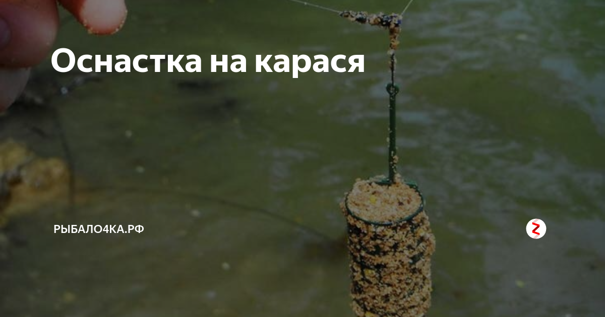ᐉ ловля карпа на илистом или захламленном дне - ✅ ribalka-snasti.ru