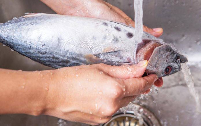 Как устранить запах рыбы в квартире — remontir.info