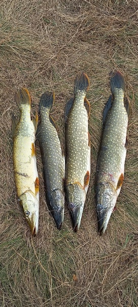 Озера Челябинской области для рыбалки