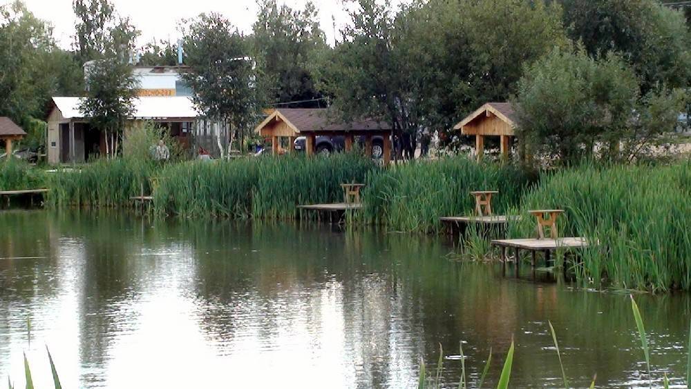Рыбалка на пятницком шоссе: платная рыбалка в ркх светлые горы, в коростово, в юрлово, в митино