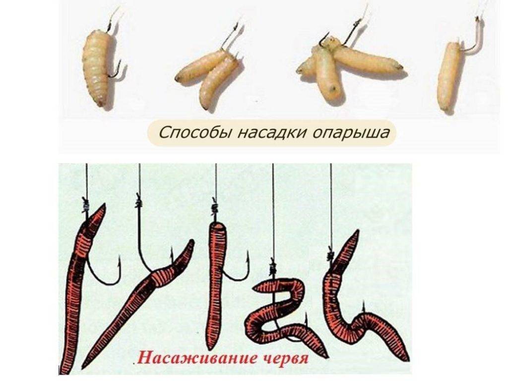 Как насадить червя на крючок - способы правильного насаживания