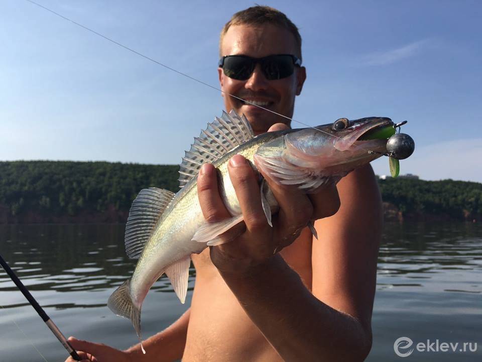 Fish came. Кама рыбалка. Ловля на Каме. Рыболовство на Каме.