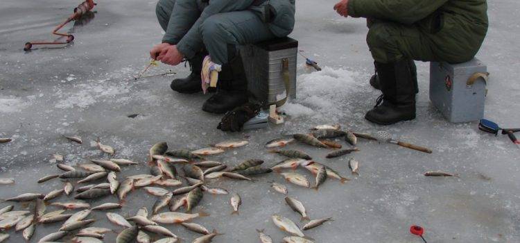 Снасти для  зимней подледной рыбалки