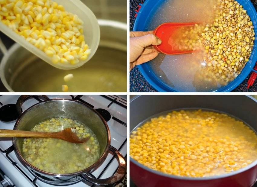 Какая кукуруза применяется для ловли сазана и как ее готовить