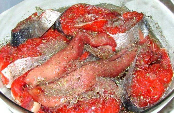 Как вкусно солить нерку в домашних условиях: рецепты засолки красной рыбы с фото