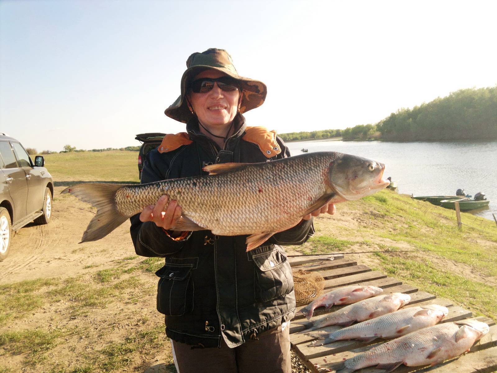 12 лучших рыболовных мест краснодарского края – рыбалке.нет