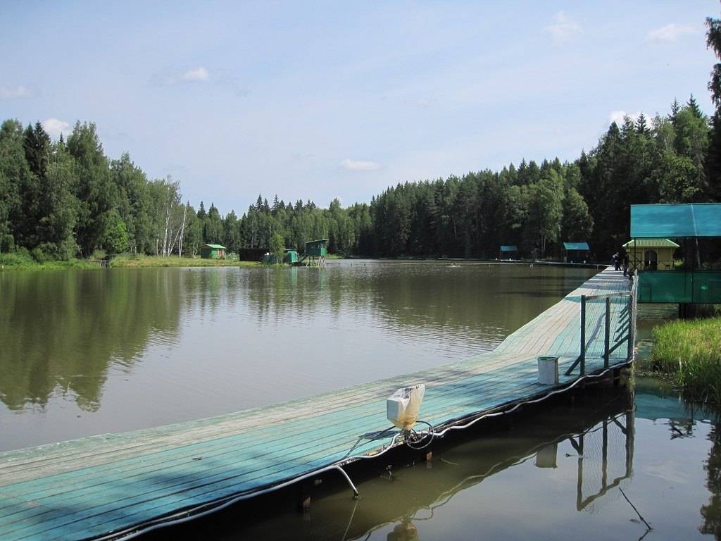 Рупасовские пруды (мытищи) - отличное место для отдыха и рыбалки