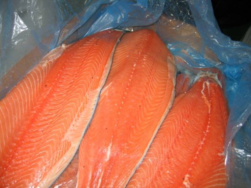 Чем отличаются семга и лосось: есть ли разница, чем питаются, какая рыба лучше