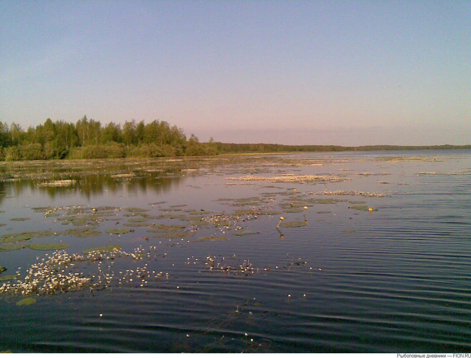 Нестеровское озеро — база отдыха, рыбалка, отзывы, отдых 2020, фото, отели рядом, как доехать на туристер.ру