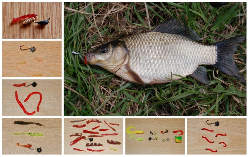 Зимняя рыбалка на карася в реке, пруду и озере: техника, оснастка, прикорм