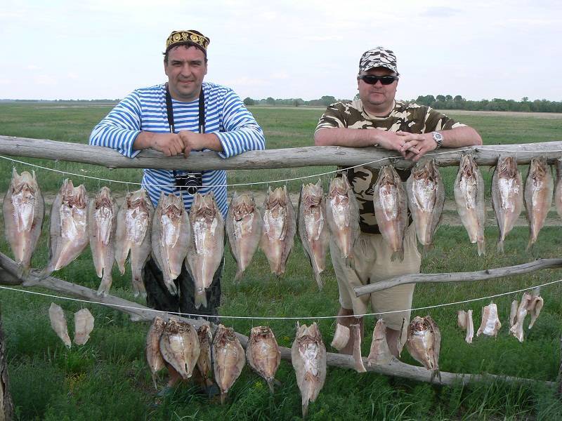 Рыбалка на волге в астраханской области: секретные места и полезные советы | рыбная ловля на волге